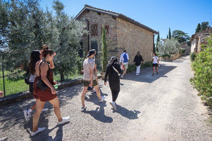 Chianti Half-Day Minivan Tour from Florence: Two Wineries, Village, Piazzale Michelangelo (12/12)