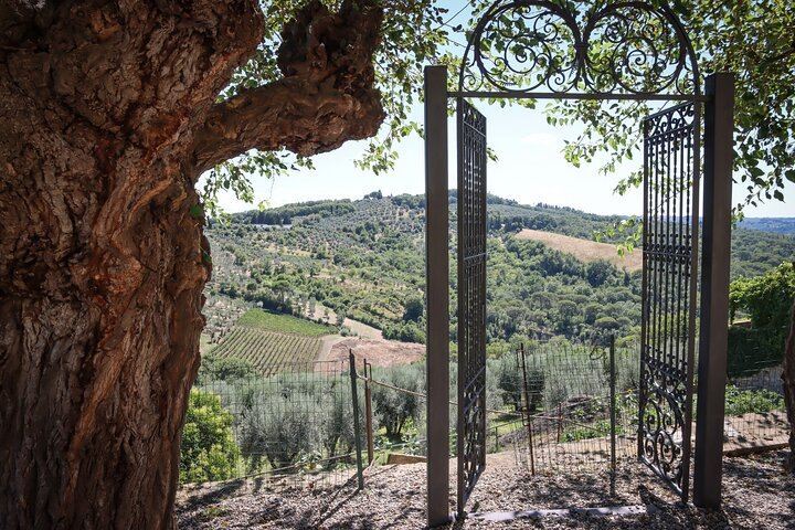Chianti Half-Day Minivan Tour from Florence: Two Wineries, Village, Piazzale Michelangelo (3/12)