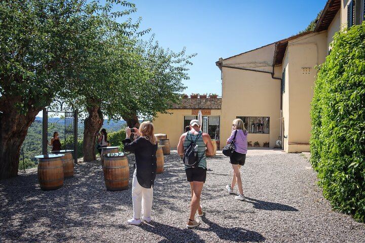 Chianti Half-Day Minivan Tour from Florence: Two Wineries, Village, Piazzale Michelangelo (9/12)