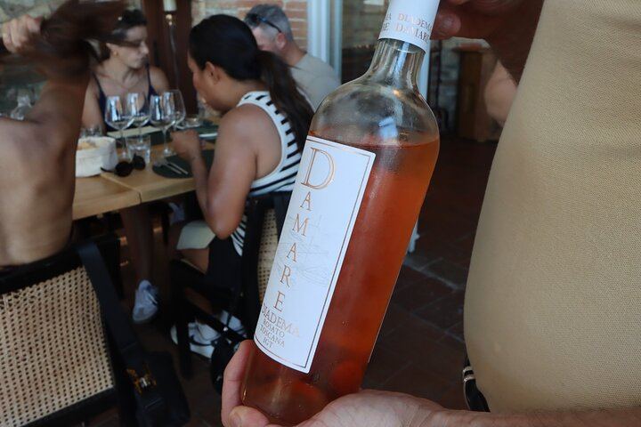 Chianti Half-Day Minivan Tour from Florence: Two Wineries, Village, Piazzale Michelangelo (7/12)