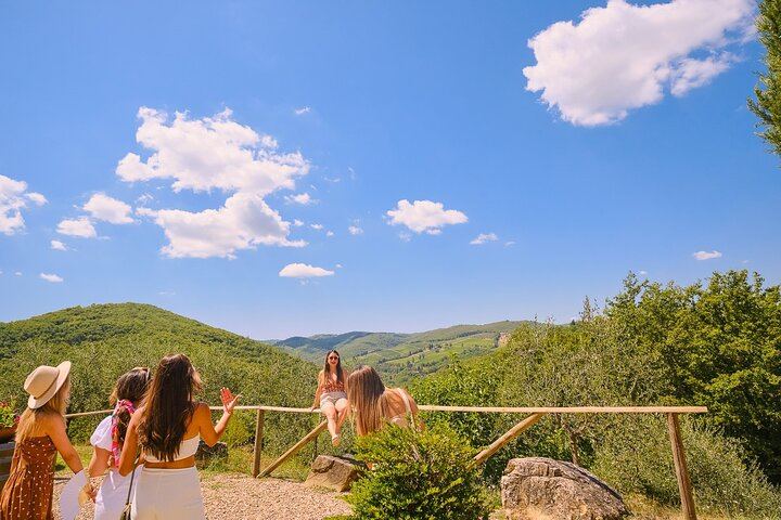 Full-Day Private Chauffeur in Chianti from Florence: Greve, Montefioralle, Panzano (1/12)