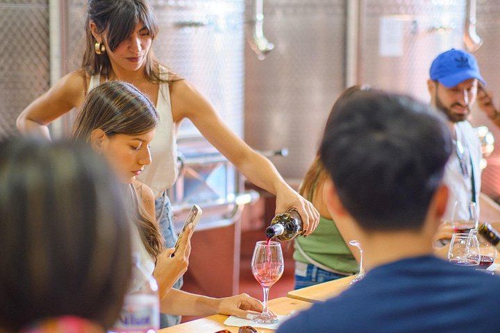 Half-Day Chianti Coach Trip from Florence with Two Winery Tastings at Sunset (7/12)