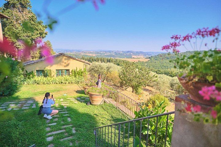Full-Day Private Chauffeur in Chianti from Florence: Greve, Montefioralle, Panzano (2/12)