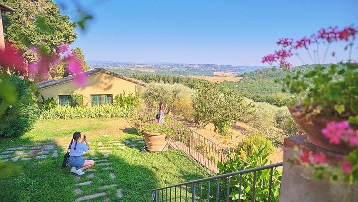 Full-Day Private Chauffeur in Chianti from Florence: Greve, Montefioralle, Panzano (2/12)