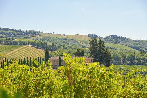 Florence Half-Day Chauffeured Chianti Drive by Mercedes, with Greve and Optional Tasting