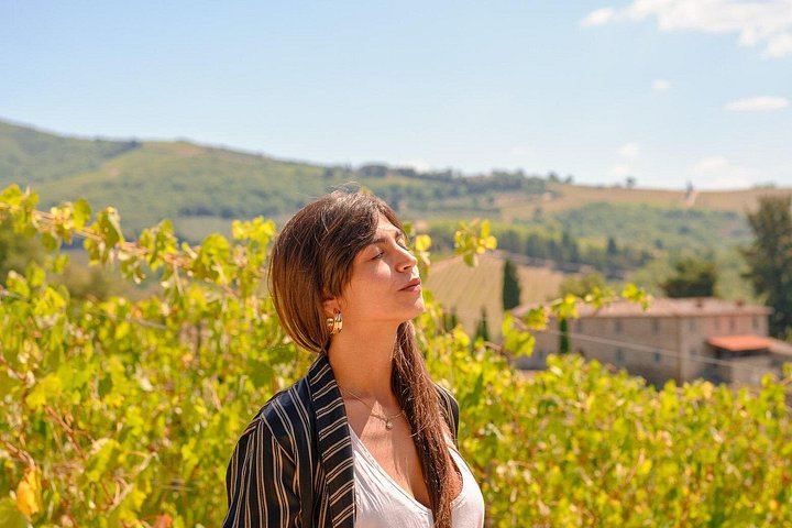 Florence Half-Day Chauffeured Chianti Drive by Mercedes, with Greve and Optional Tasting (1/12)