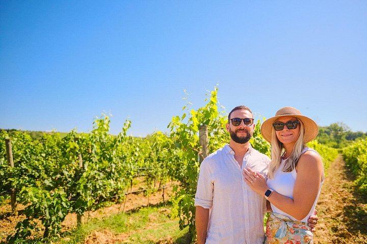 Florence Half-Day Chauffeured Chianti Drive by Mercedes, with Greve and Optional Tasting (2/12)