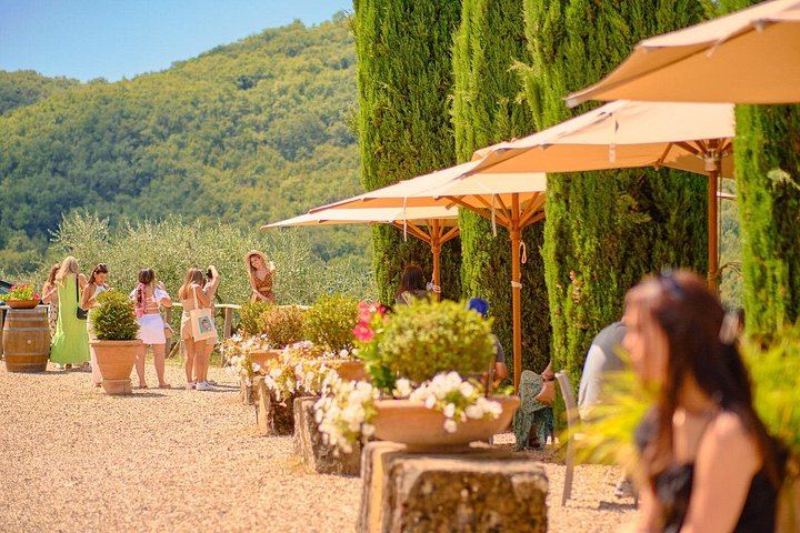 Florence Half-Day Chauffeured Chianti Drive by Mercedes, with Greve and Optional Tasting (3/12)