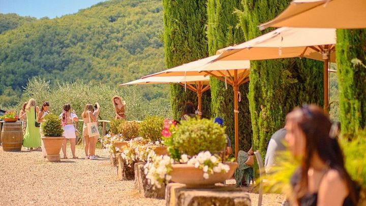 Florence Half-Day Chauffeured Chianti Drive by Mercedes, with Greve and Optional Tasting (3/12)