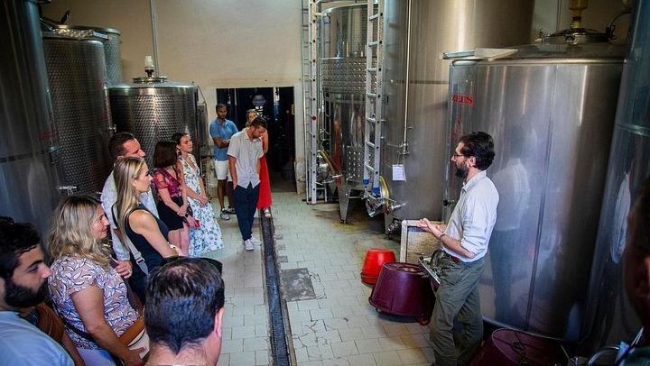 Towns of Italy Afternoon Tour from Florence: Siena, San Gimignano and Winery Dinner (2/12)