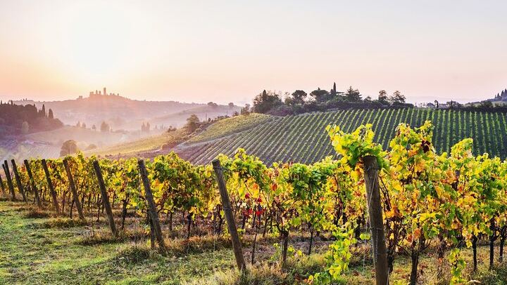 Private Florence Day Trip to Siena and San Gimignano with Winery Tasting and Tuscan Lunch (1/6)