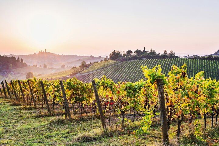 Private Florence Day Trip to Siena and San Gimignano with Winery Tasting and Tuscan Lunch (1/6)