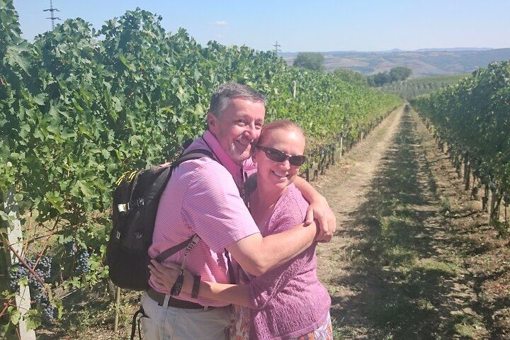 Private Florence Day Trip to Siena and San Gimignano with Winery Tasting and Tuscan Lunch (4/6)
