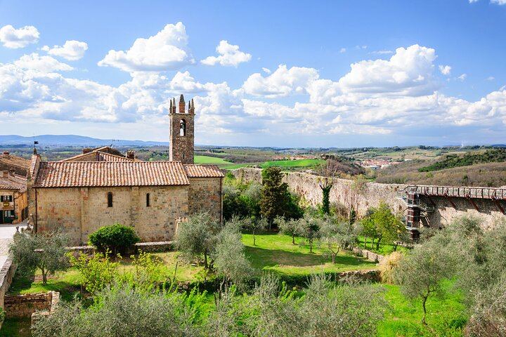 Private Florence Day Trip to Siena and San Gimignano with Winery Tasting and Tuscan Lunch (3/6)
