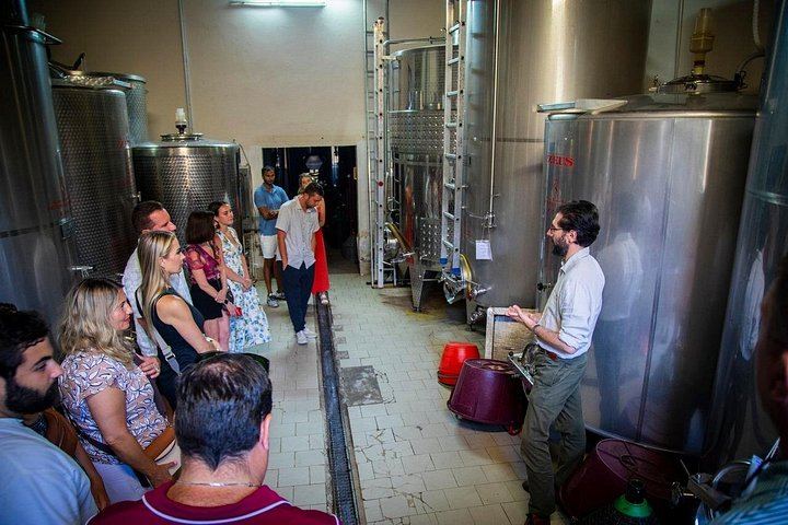 Towns of Italy Afternoon Tour from Florence: Siena, San Gimignano and Winery Dinner (2/12)