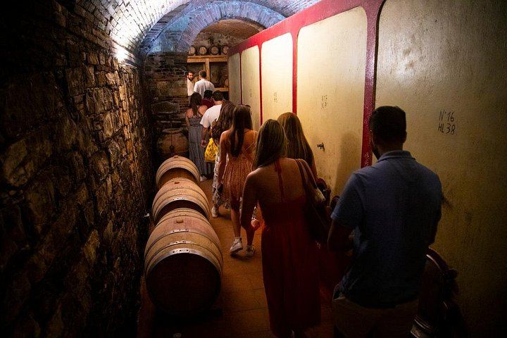Towns of Italy Afternoon Tour from Florence: Siena, San Gimignano and Winery Dinner (9/12)