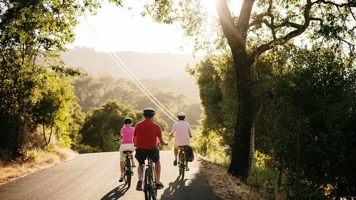 Half-Day Electric Bike Wine Tour in Sonoma County: Two Wineries and Lunch (3/5)