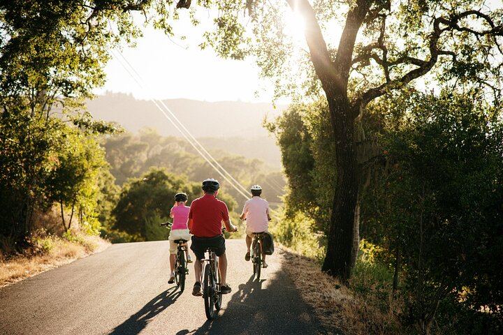 Half-Day Electric Bike Wine Tour in Sonoma County: Two Wineries and Lunch (3/5)
