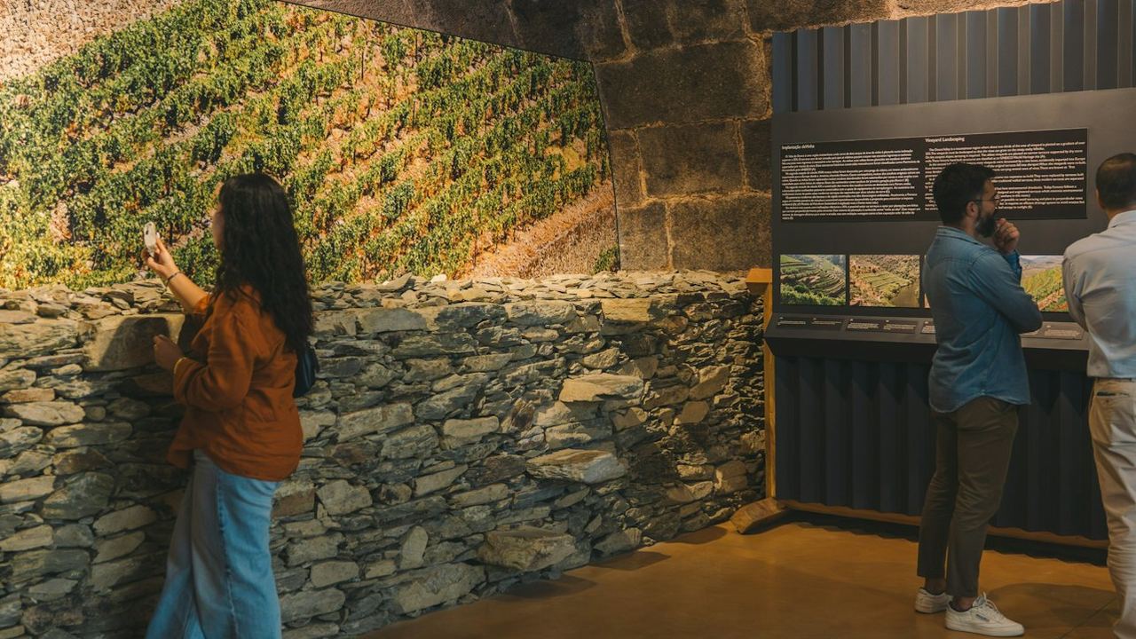 Fonseca Port Cellar in Vila Nova de Gaia: Self-Guided Aroma Tour and Tasting (4/7)