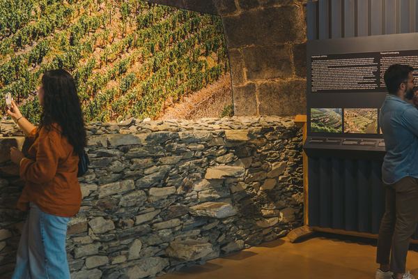 Fonseca Winery Tour in Vila Nova de Gaia with Fado Show and Terrace Dinner at WOW