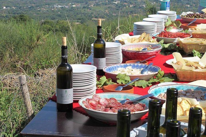 Private Etna Tour from Messina Cruise Terminal with Sartorius Craters and Winery Lunch (5/12)