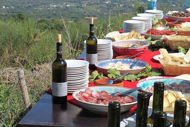 Private Etna Tour from Catania: Zafferana Honey, Sapienza and Winery Lunch with 4 Wines (1/12)