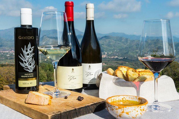 Private Etna Drive to 2,000 m from Messina Cruise Terminal with Optional Winery Tasting (2/9)