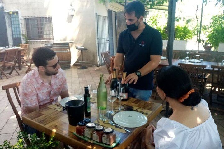 Private Etna Drive to 2,000 m from Messina Cruise Terminal with Optional Winery Tasting (8/9)