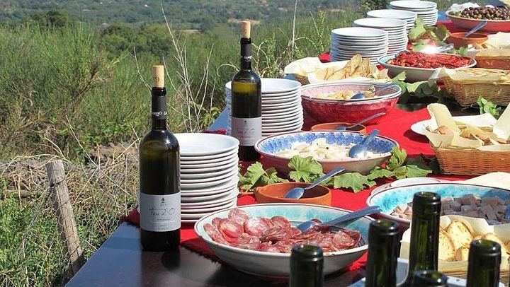 Private Etna Tour from Catania: Zafferana Honey, Sapienza and Winery Lunch with 4 Wines (1/12)