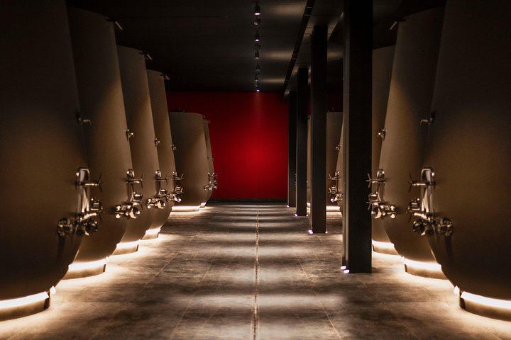 Farina Wine Boutique Food and Wine Tasting in Pedemonte, Valpolicella, with Amarone (4/5)