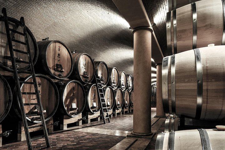 Farina Wine Boutique Food and Wine Tasting in Pedemonte, Valpolicella, with Amarone (3/5)