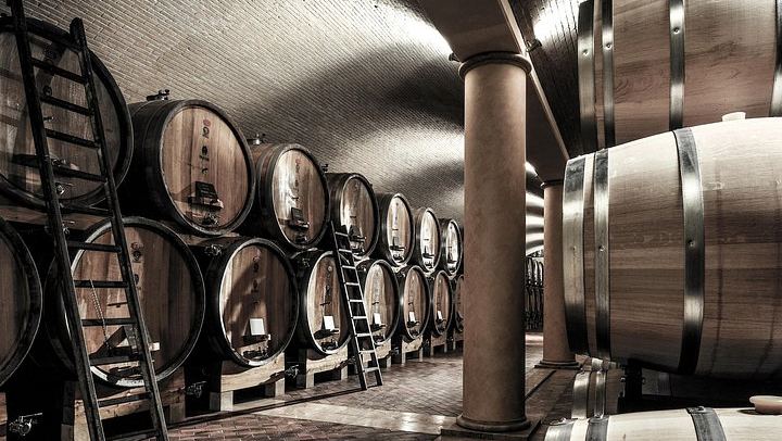 Farina Wine Boutique Food and Wine Tasting in Pedemonte, Valpolicella, with Amarone (3/5)