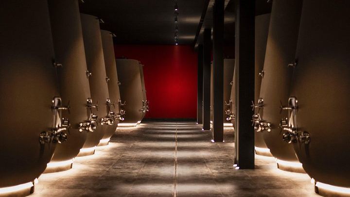 Farina Wine Boutique Food and Wine Tasting in Pedemonte, Valpolicella, with Amarone (4/5)