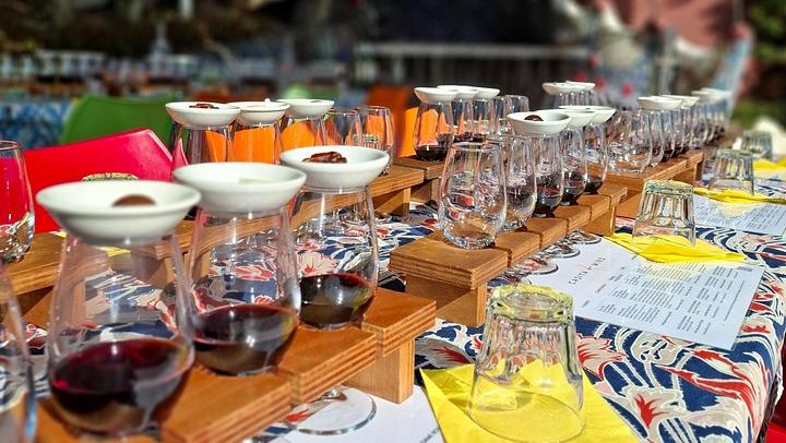 Waiheke Best Cellar Tour: Family-Run Small Group, 11 Guests Max, 3 Vineyards (3/12)