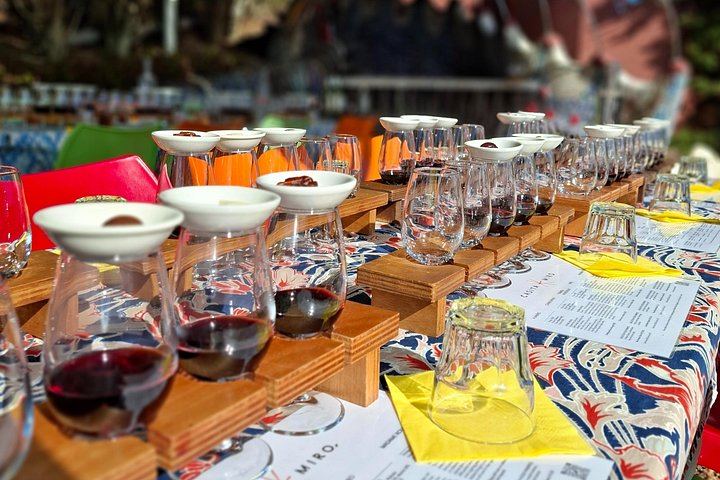 Waiheke Best Cellar Tour: Family-Run Small Group, 11 Guests Max, 3 Vineyards (3/12)