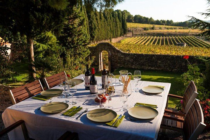 Private Horseback Ride Through Penedès Vineyards with Wine Tasting and Tapas Lunch (2/5)