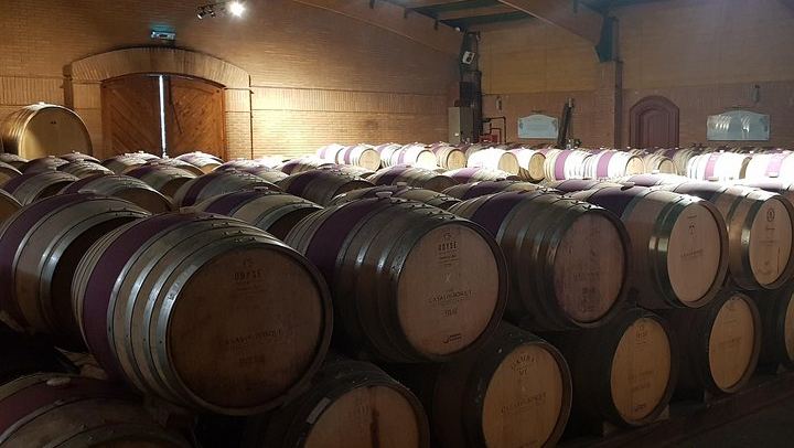 Casas del Bosque and Bodegas RE Wine Tour with Transfer, Tasting and Optional Tanino Lunch (3/5)