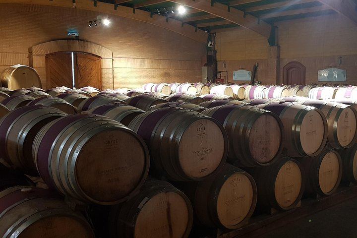 Casas del Bosque and Bodegas RE Wine Tour with Transfer, Tasting and Optional Tanino Lunch (3/5)