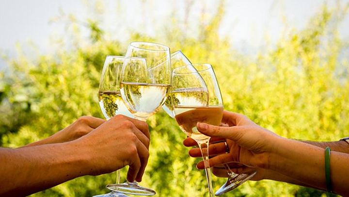 Cape Winelands Day Tour from Cape Town: Stellenbosch, Franschhoek and Paarl Tastings (1/12)