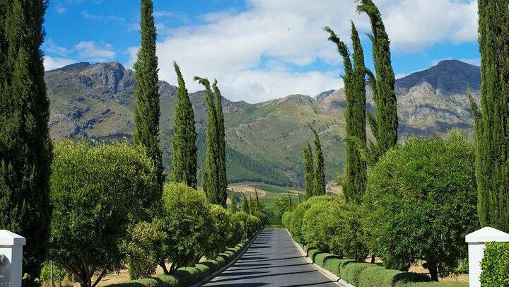 Four Wine Estates in Franschhoek and Stellenbosch: Small-Group Day Tour with Hotel Pickup (2/11)