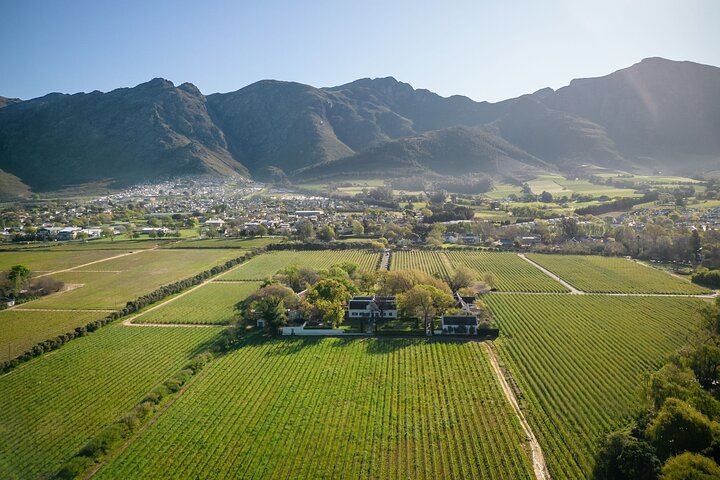 Four Wine Estates in Franschhoek and Stellenbosch: Small-Group Day Tour with Hotel Pickup (9/11)