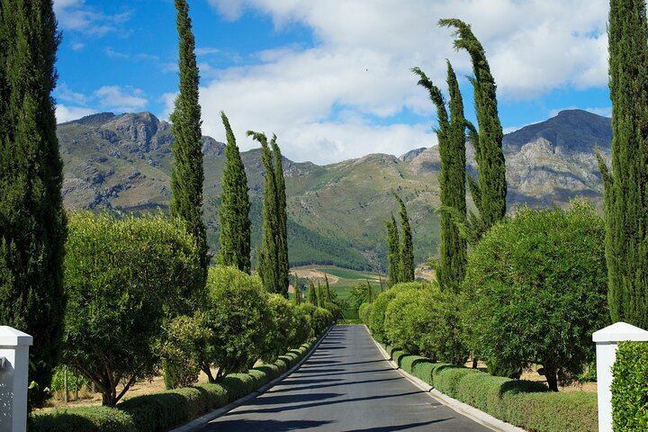 Four Wine Estates in Franschhoek and Stellenbosch: Small-Group Day Tour with Hotel Pickup (2/11)