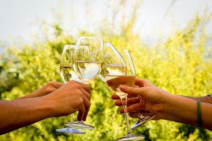 Cape Winelands Day Tour from Cape Town: Stellenbosch, Franschhoek and Paarl Tastings (1/12)