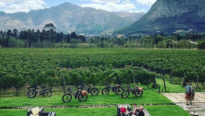 Franschhoek E-Bike Wine Tour from La Couronne, Half Day on Quiet Back Roads (1/6)