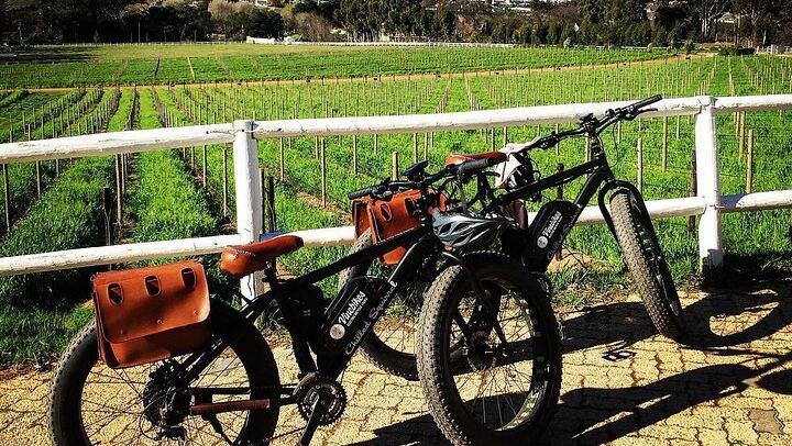 Franschhoek E-Bike Wine Tour from La Couronne, Half Day on Quiet Back Roads (4/6)