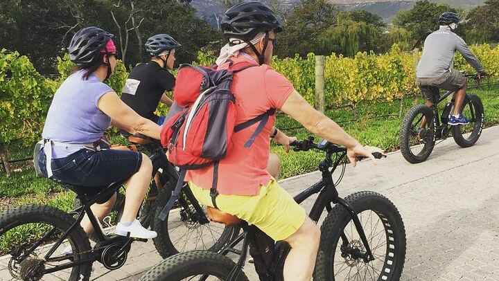 Franschhoek E-Bike Wine Tour from La Couronne, Half Day on Quiet Back Roads (3/6)