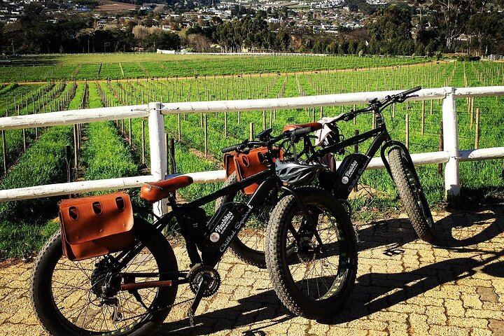 Franschhoek E-Bike Wine Tour from La Couronne, Half Day on Quiet Back Roads (4/6)