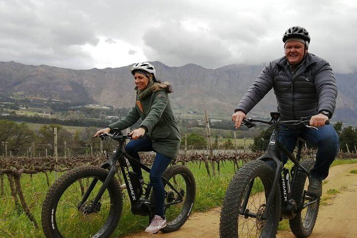 Franschhoek E-Bike Wine Tour from La Couronne, Half Day on Quiet Back Roads (5/6)