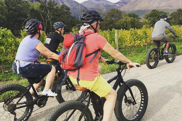 Franschhoek E-Bike Wine Tour from La Couronne, Half Day on Quiet Back Roads (3/6)
