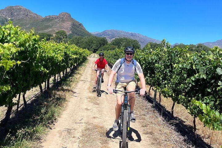 Private Full-Day Sip & Cycle Through Franschhoek Vineyards from Grande Provence (4/12)